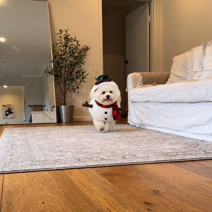 Paws&Claus Snowman Costume