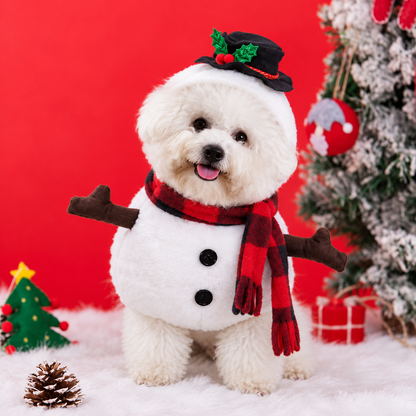 Paws&Claus Snowman Costume