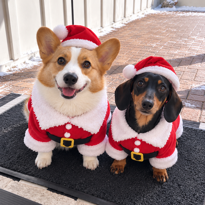 Paws&Claus™ Dog Costume