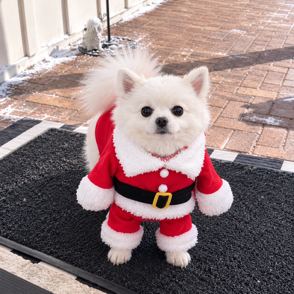 Paws&Claus™ Dog Costume