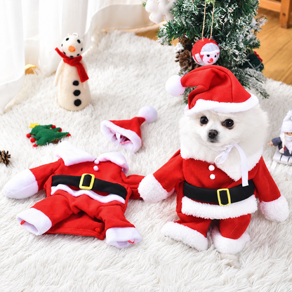 Paws&Claus™ Dog Costume